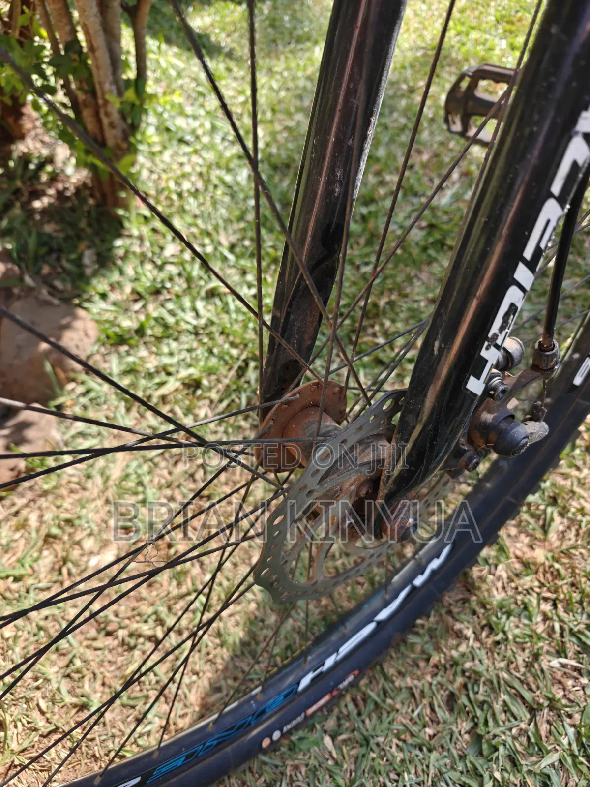 Raleigh Mach One 29'