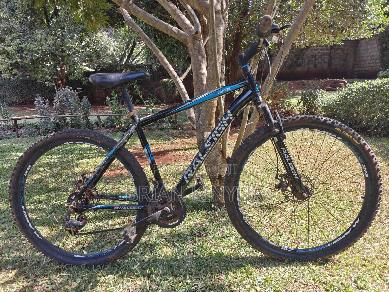 Raleigh Mach One 29'