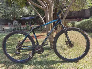 Raleigh Mach One 29'