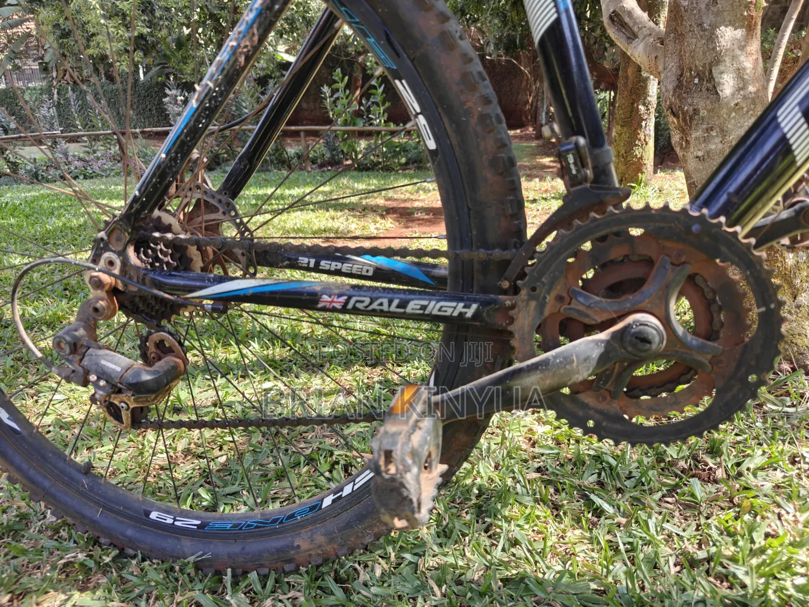 Raleigh Mach One 29'
