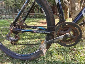 Raleigh Mach One 29'