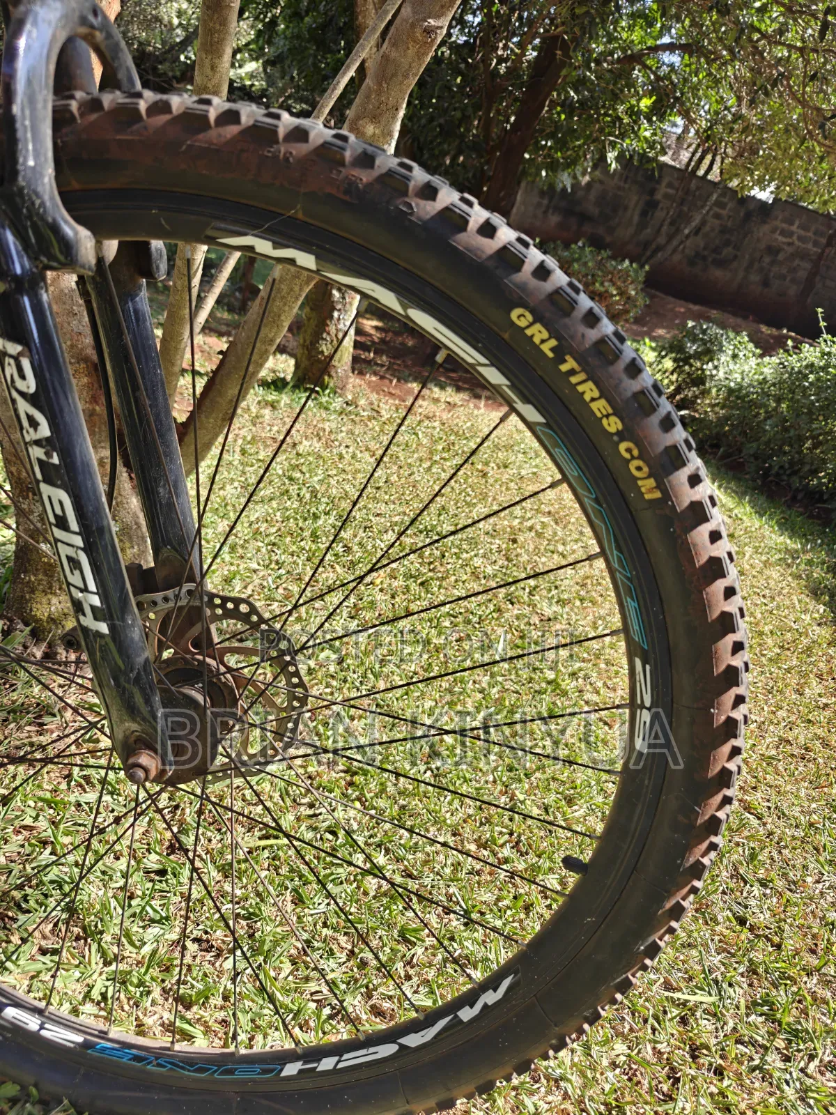 Raleigh Mach One 29'