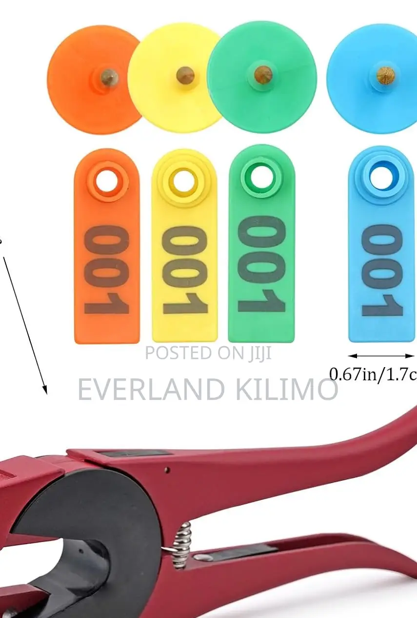 Slim Ear Tags Laser Printed Herd Number Tags