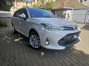 Toyota Corolla Fielder 2019 White
