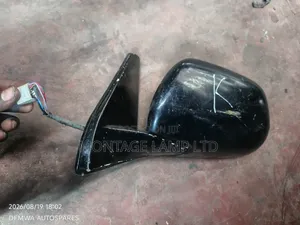 Prado 120 Side Mirror