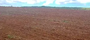 400 Acres on Permanent River Water Is Available for Lease in Laikipia