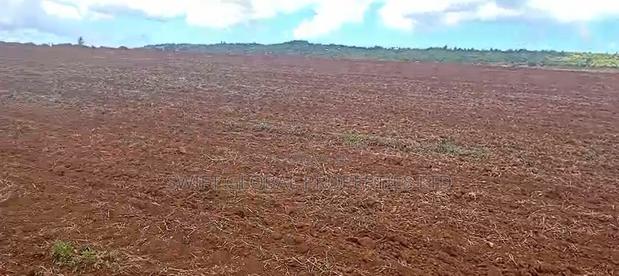 400 Acres on Permanent River Water Is Available for Lease in Laikipia
