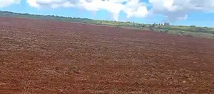400 Acres on Permanent River Water Is Available for Lease in Laikipia