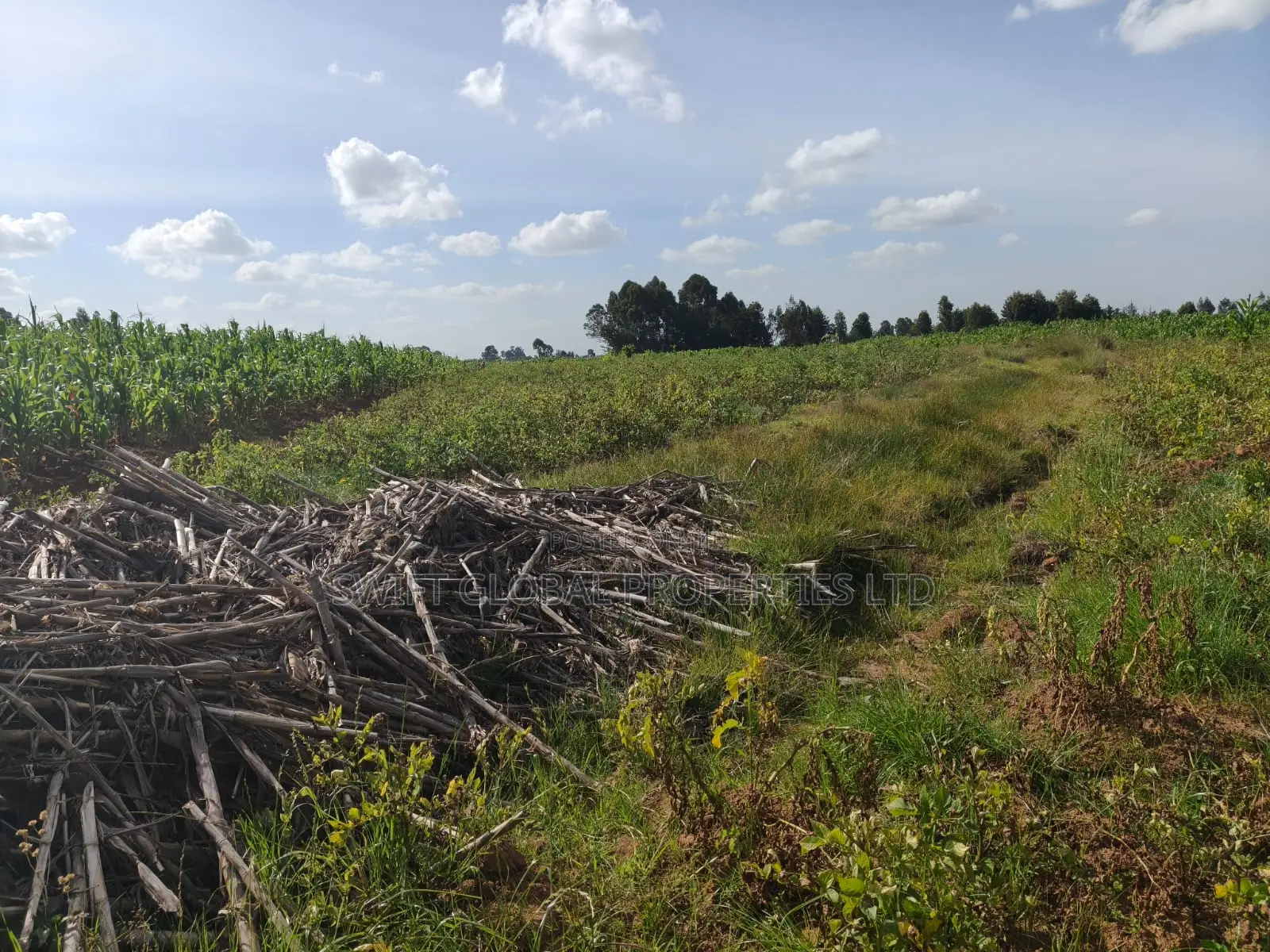 400 Acres on Permanent River Water Is Available for Lease in Laikipia