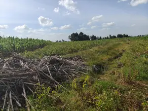 400 Acres on Permanent River Water Is Available for Lease in Laikipia
