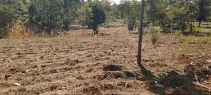 Prime One Acre Land for Sale in Kirinyaga Kimbimbi Riagicheru