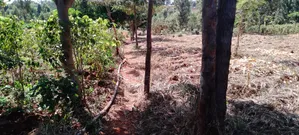 Prime One Acre Land for Sale in Kirinyaga Kimbimbi Riagicheru