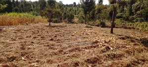 Prime One Acre Land for Sale in Kirinyaga Kimbimbi Riagicheru