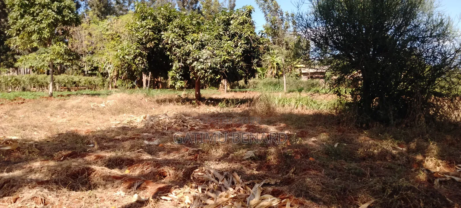 Prime One Acre Land for Sale in Kirinyaga Kimbimbi Riagicheru