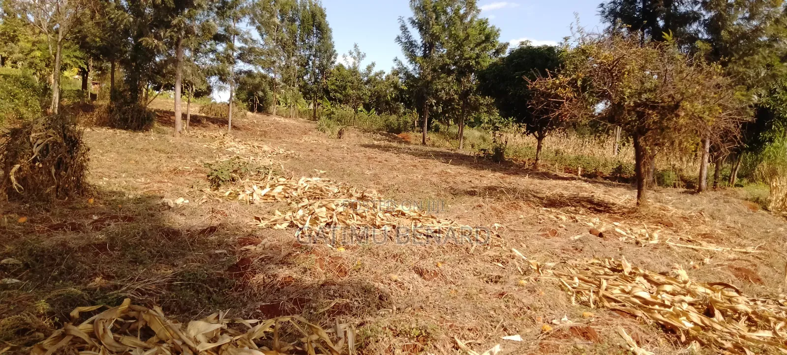 Prime One Acre Land for Sale in Kirinyaga Kimbimbi Riagicheru