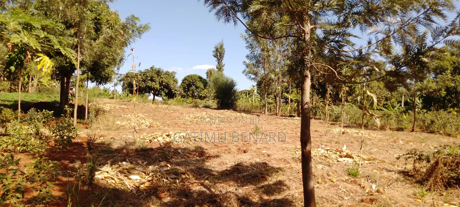 Prime One Acre Land for Sale in Kirinyaga Kimbimbi Riagicheru