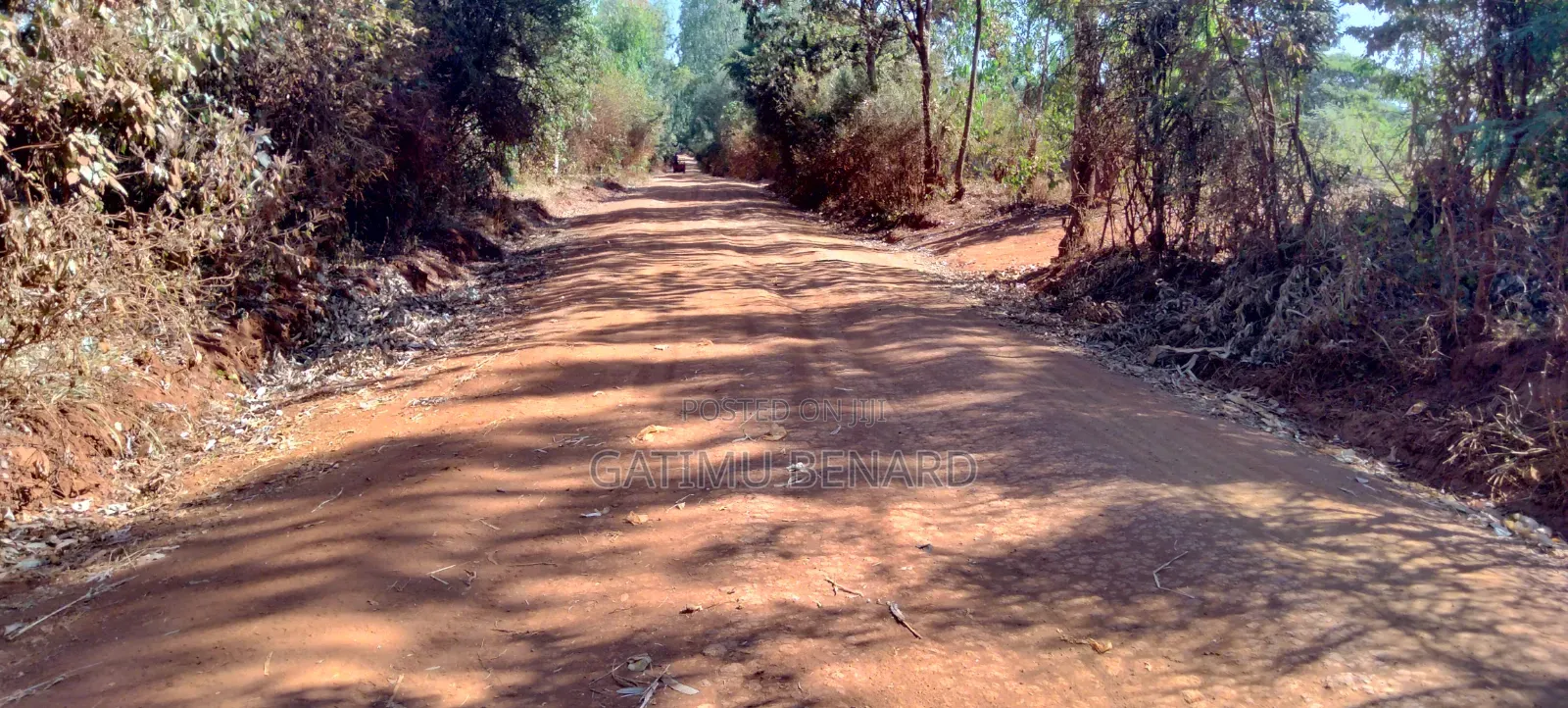 Prime One Acre Land for Sale in Kirinyaga Kimbimbi Riagicheru