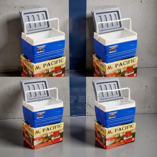 Domestic Use Family-Friendly 4.5L Handheld Portable Cooler Box Ice Box