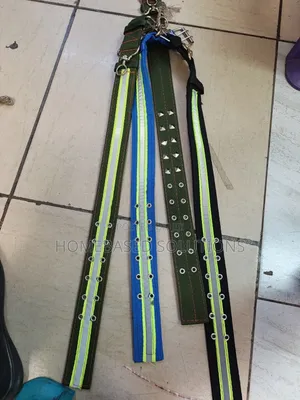 80cm Long Dog Collar