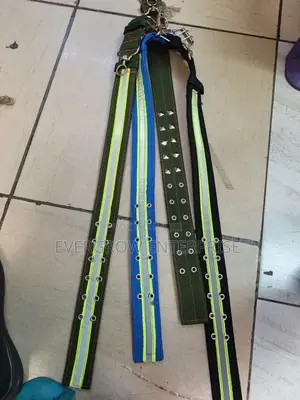 80cm Long Dog Collar