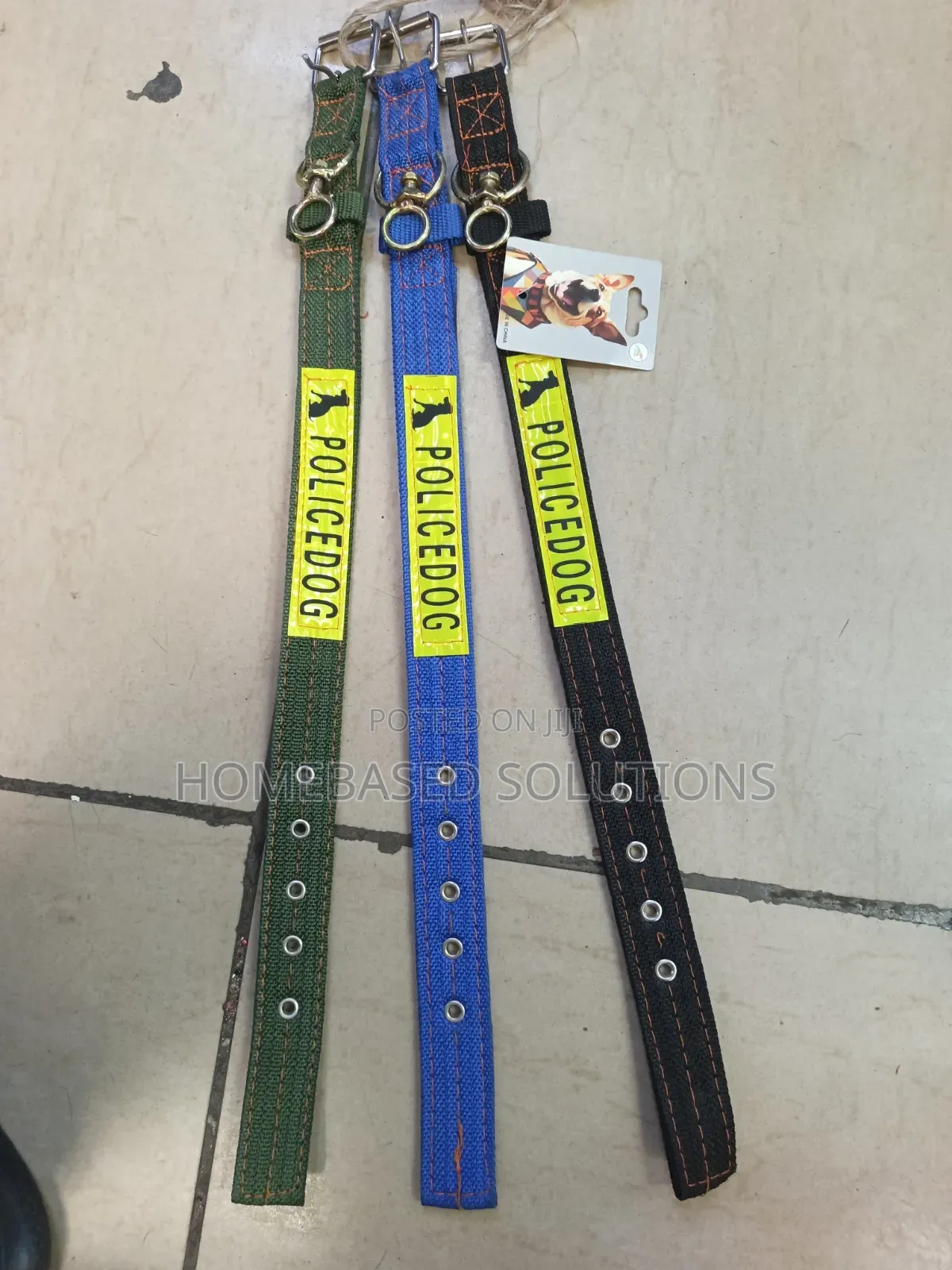 Small to Medium Dog Collar