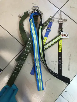 Reflective Dog Collars