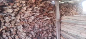 Firewood Seller