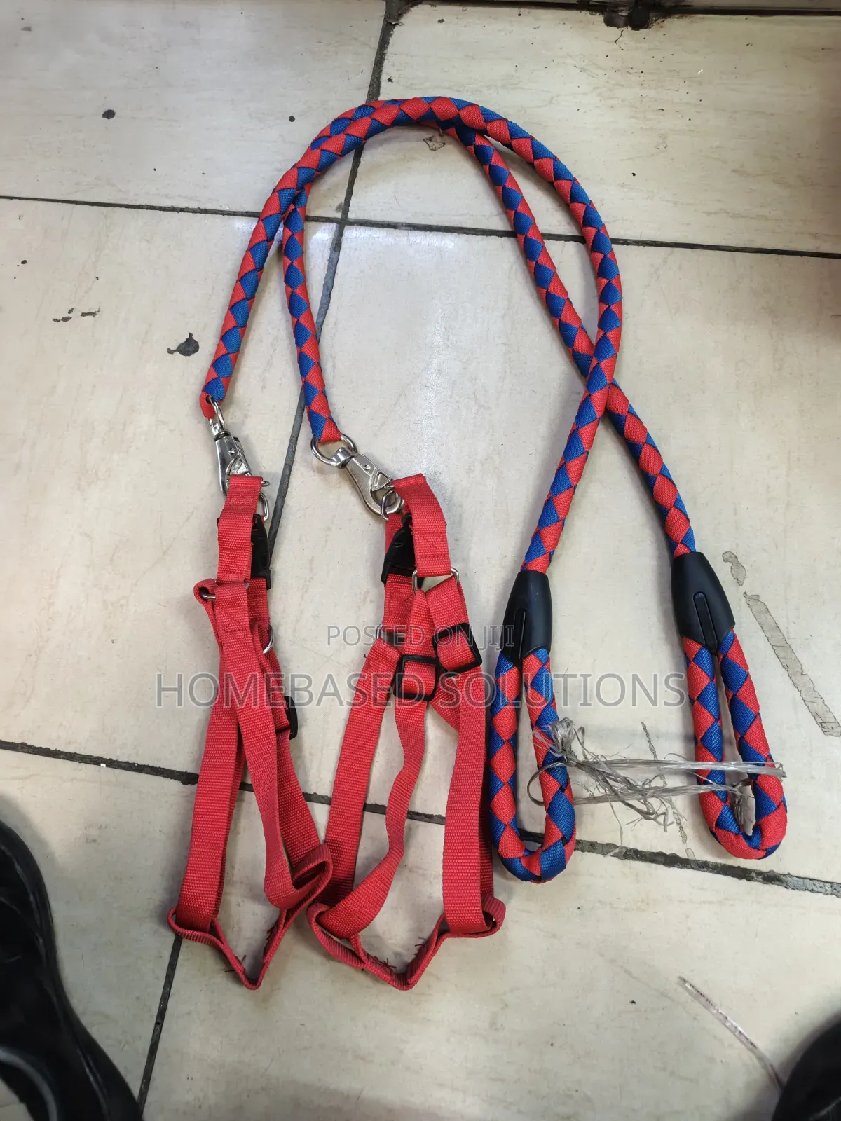 Large Dog Leashes and Harness