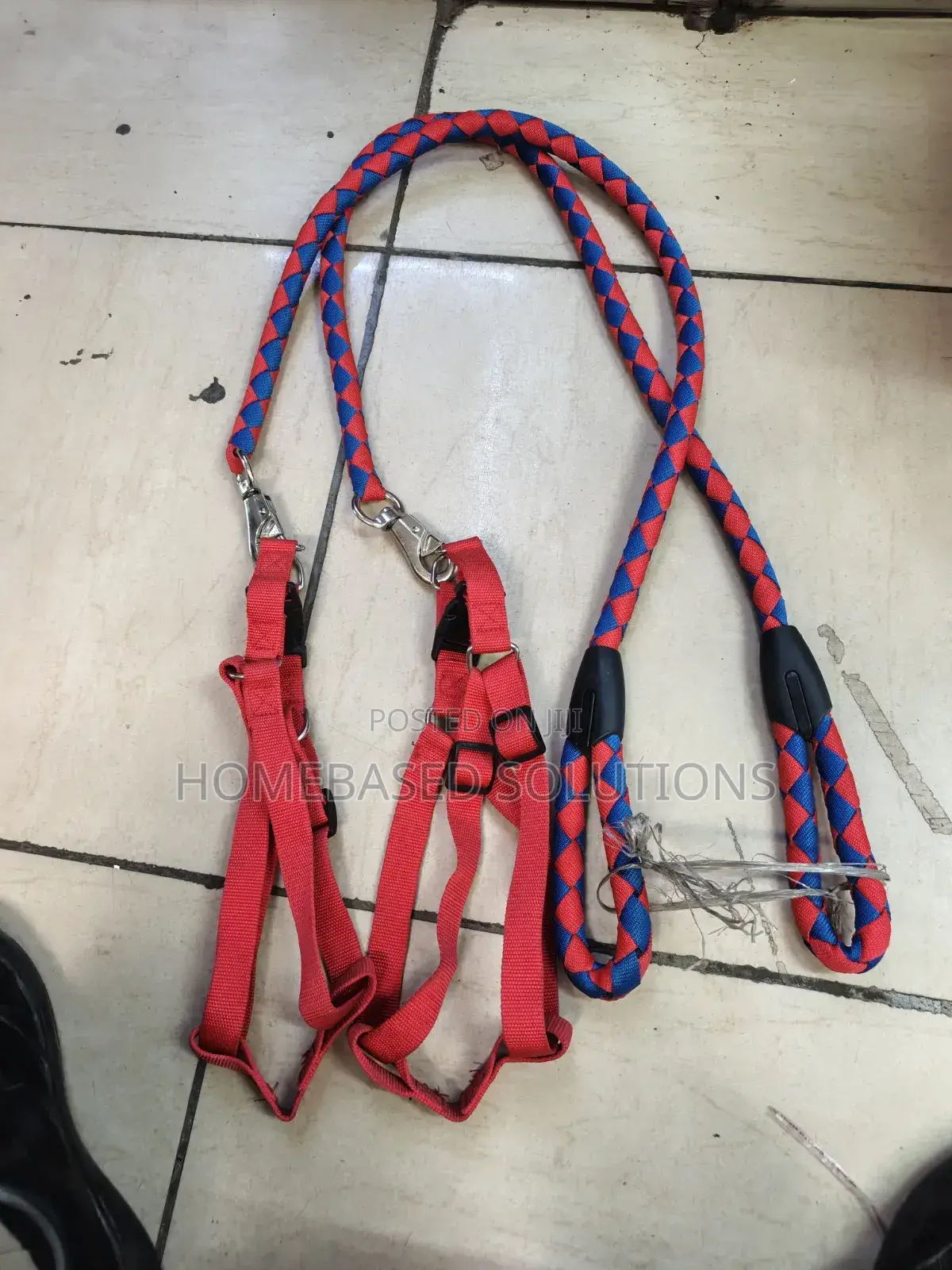 Large Dog Leashes and Harness