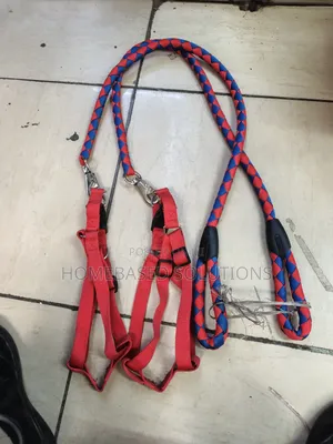 Large Dog Leashes and Harness