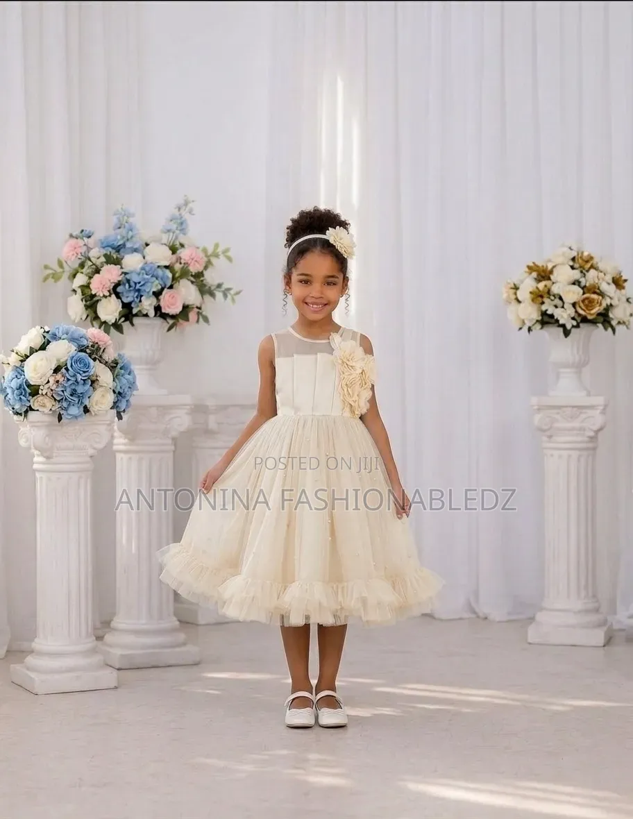 Girls Pretty Dress in Fashion