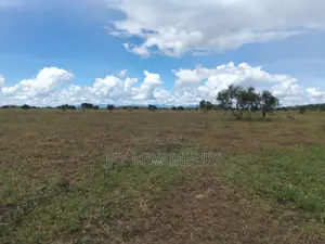 10 Acres Land Kimana Loitok