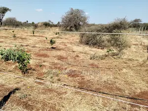 10 Acres Land Kimana Loitok