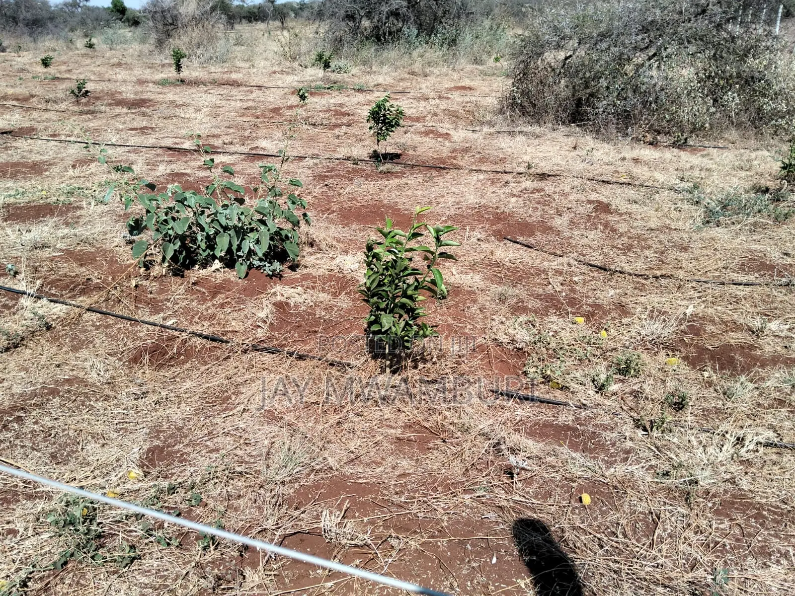 10 Acres Land Kimana Loitok