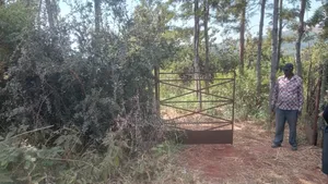 Makuyu Mananja