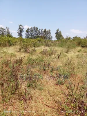Makuyu Mananja