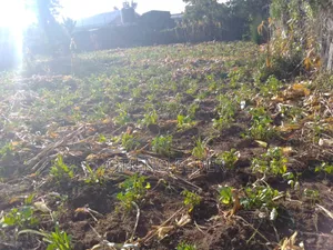 Prime Land in Nakuru
