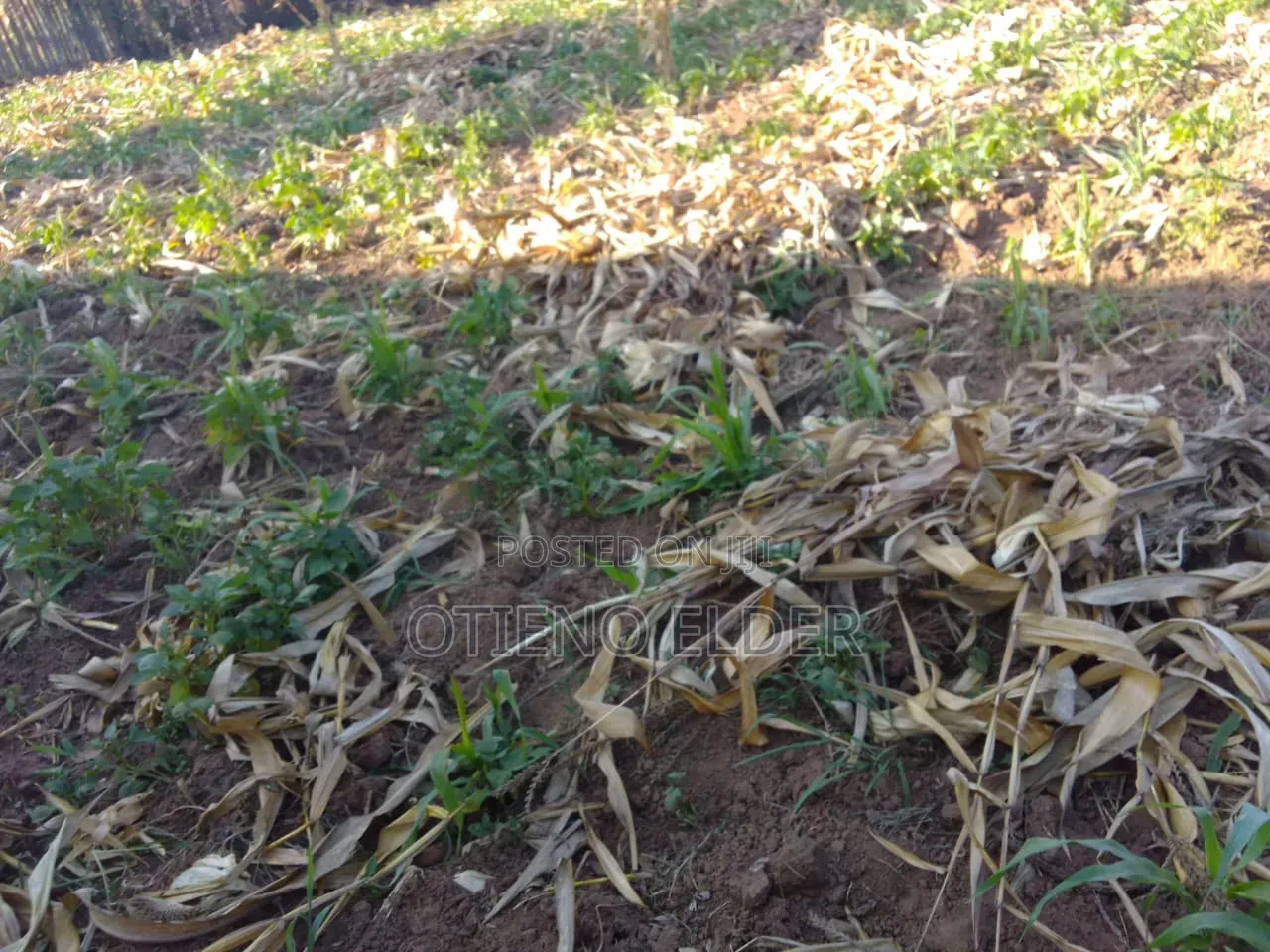 Prime Land in Nakuru