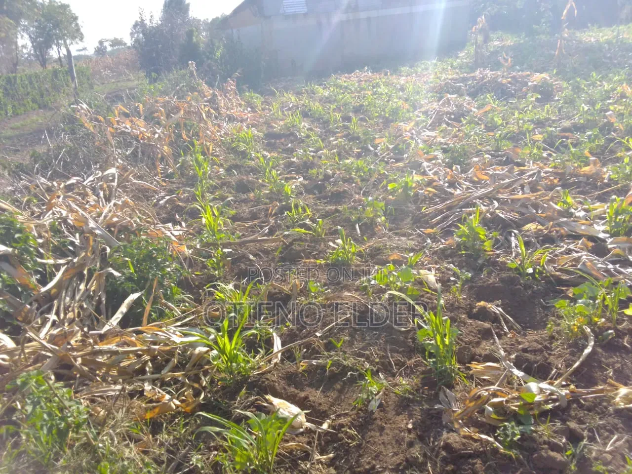 Prime Land in Nakuru