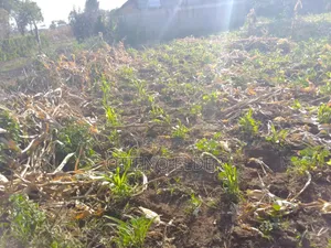 Prime Land in Nakuru