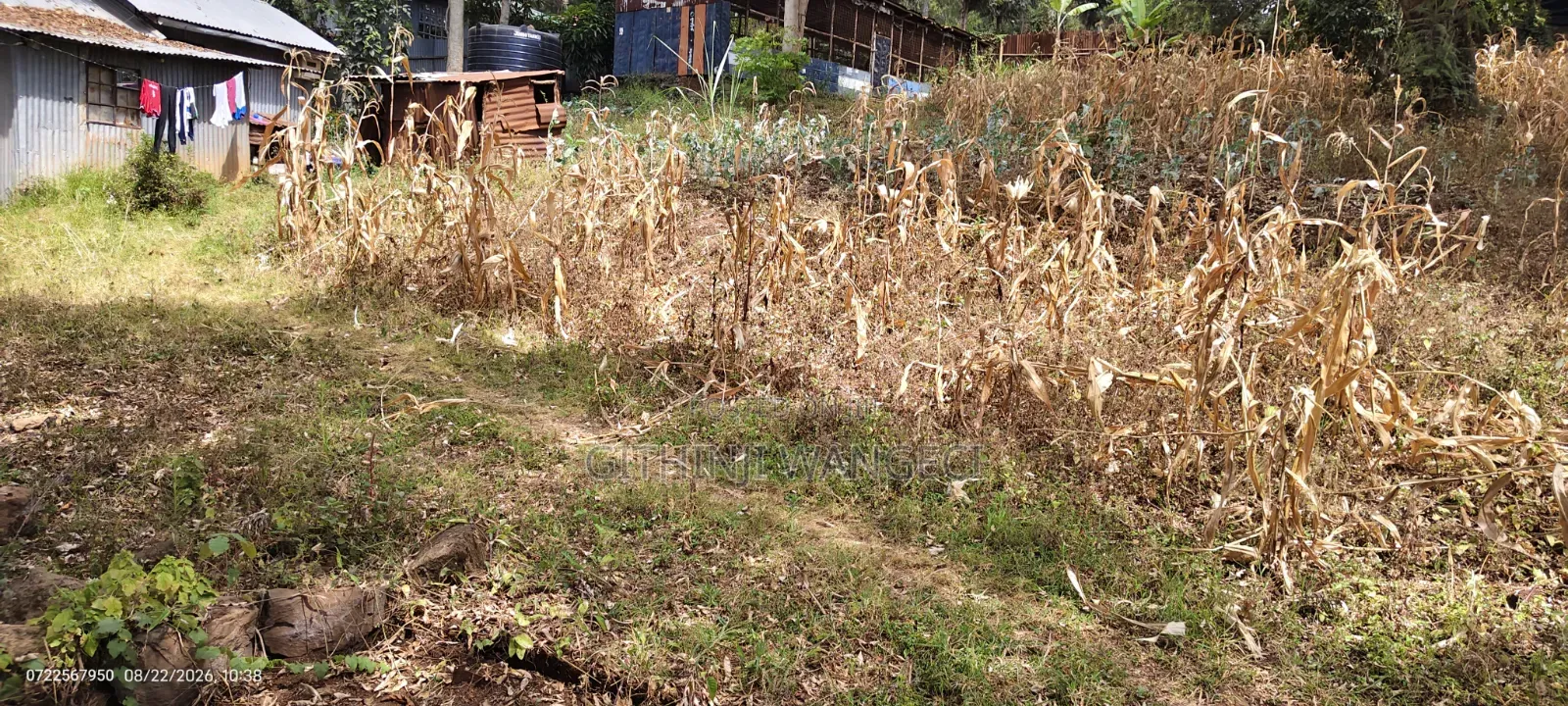 Half Acre Land on Sale in Ngong Olkeri