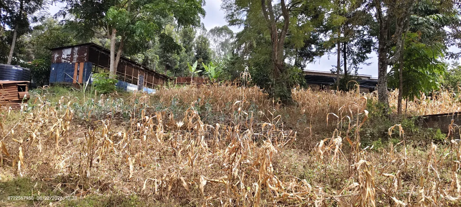 Half Acre Land on Sale in Ngong Olkeri
