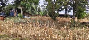 Half Acre Land on Sale in Ngong Olkeri