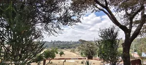 Half Acre Land on Sale in Ngong Olkeri