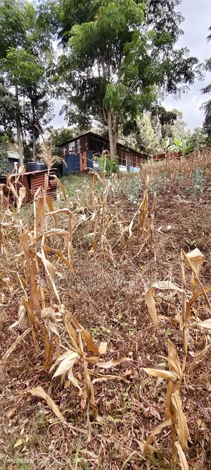 Half Acre Land on Sale in Ngong Olkeri