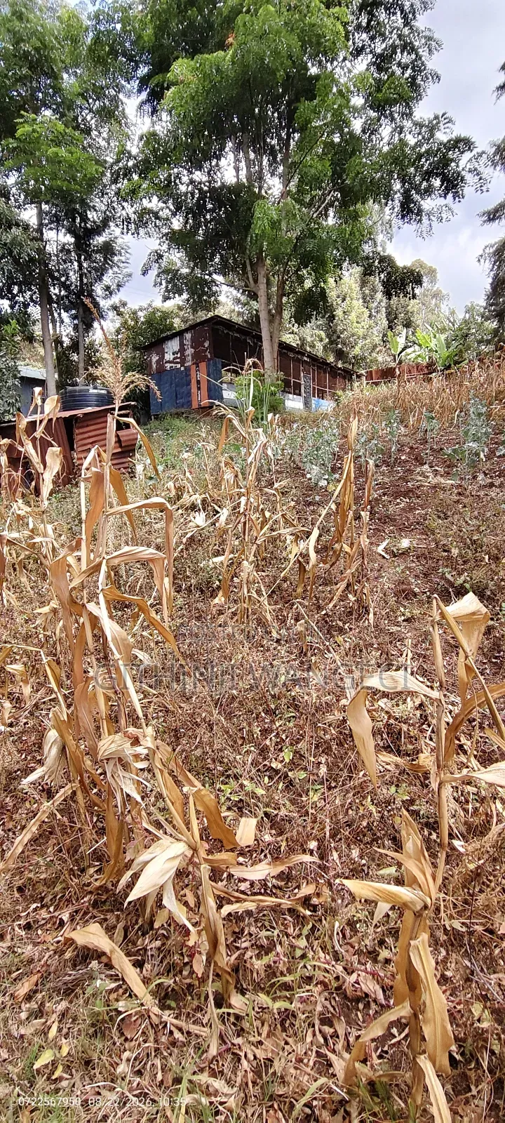 Half Acre Land on Sale in Ngong Olkeri
