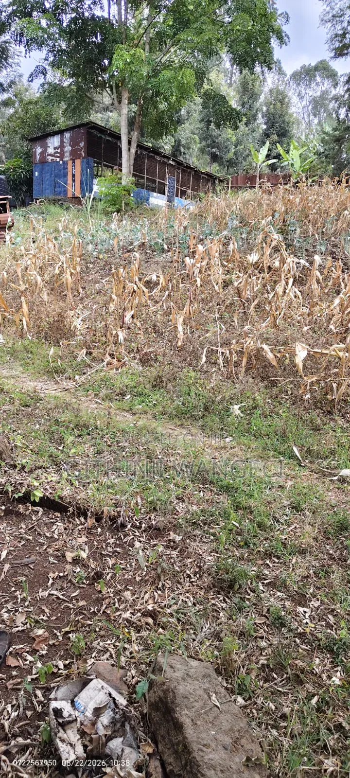 Half Acre Land on Sale in Ngong Olkeri