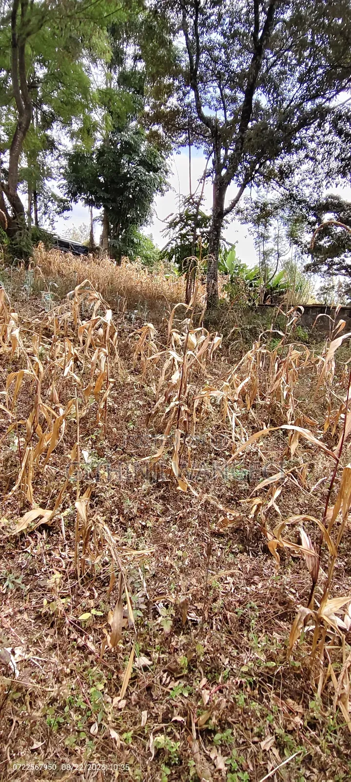 Half Acre Land on Sale in Ngong Olkeri