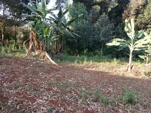 50 by 100ft  Plot Around the Kikuyu Road Near Shell Petrol Station