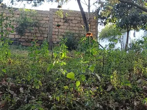 50 by 100ft  Plot Around the Kikuyu Road Near Shell Petrol Station